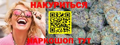 крисы Гатчина