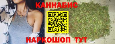 крисы Гатчина