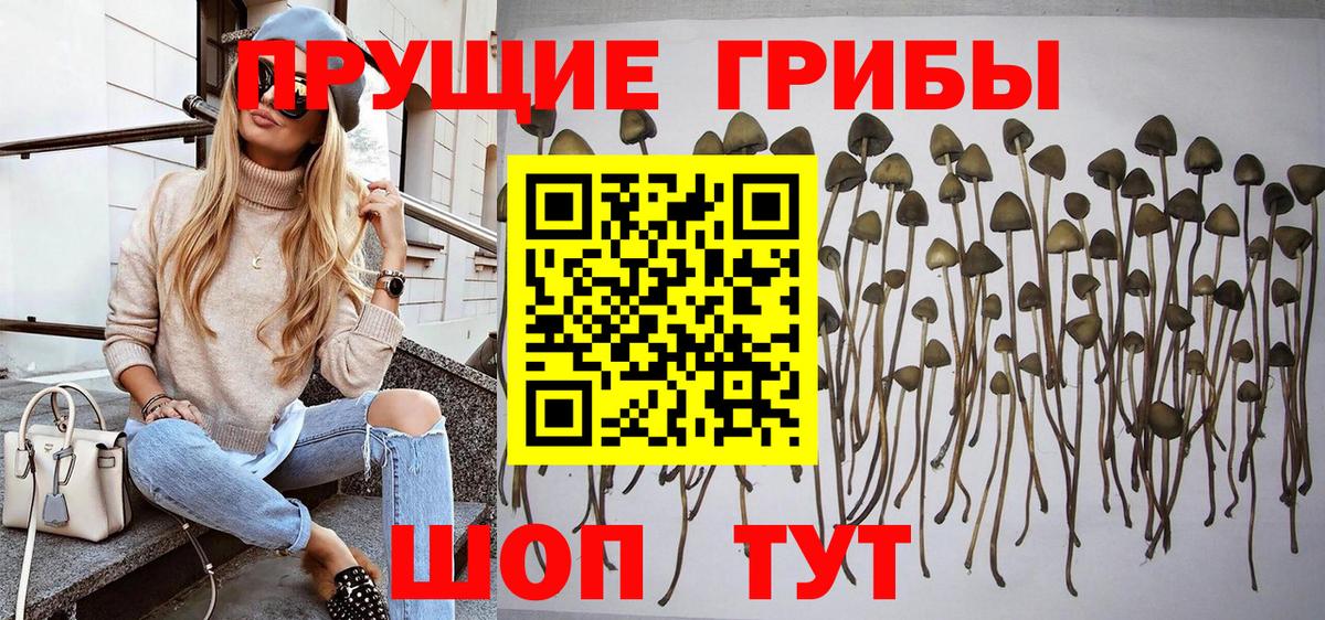 как найти закладки  Псилоцибиновые грибы прущие грибы  Вход с VPN  Псилоцибиновые грибы ЛСД  Королёв 