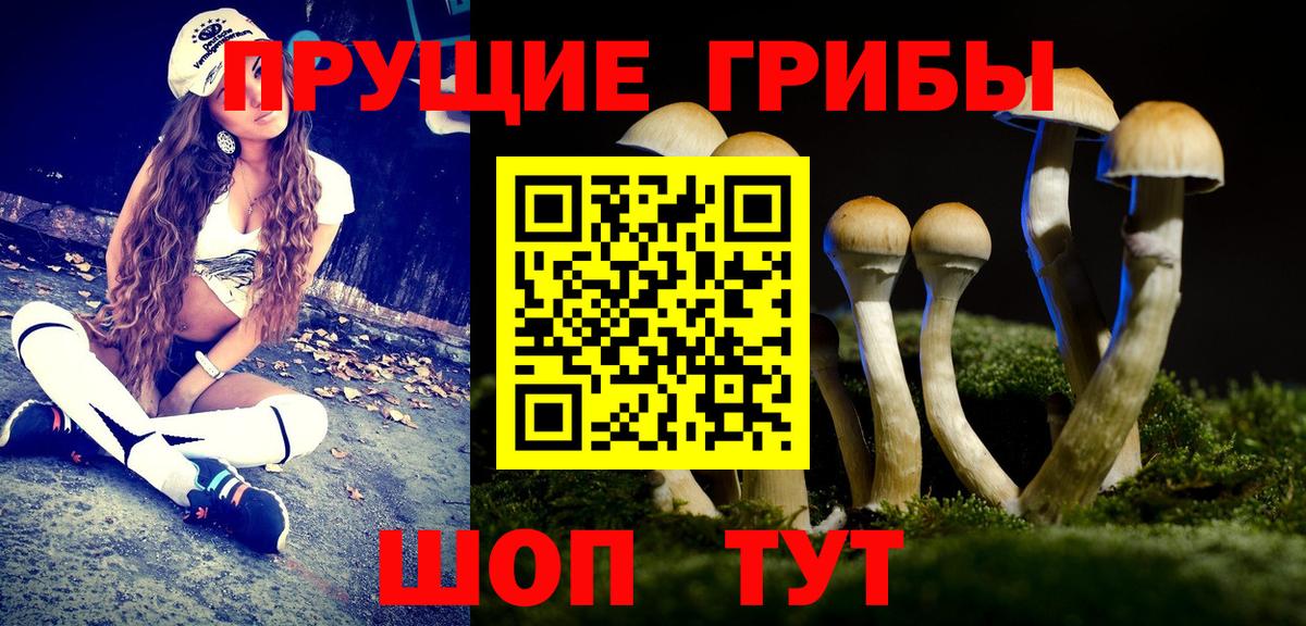 Псилоцибиновые грибы GOLDEN TEACHER Королёв